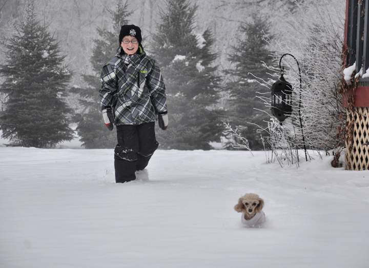 Winter Manitoba FrozenMB