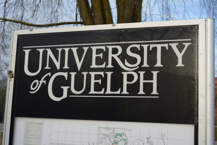 University of Guelph to establish new anti-racism policy statement