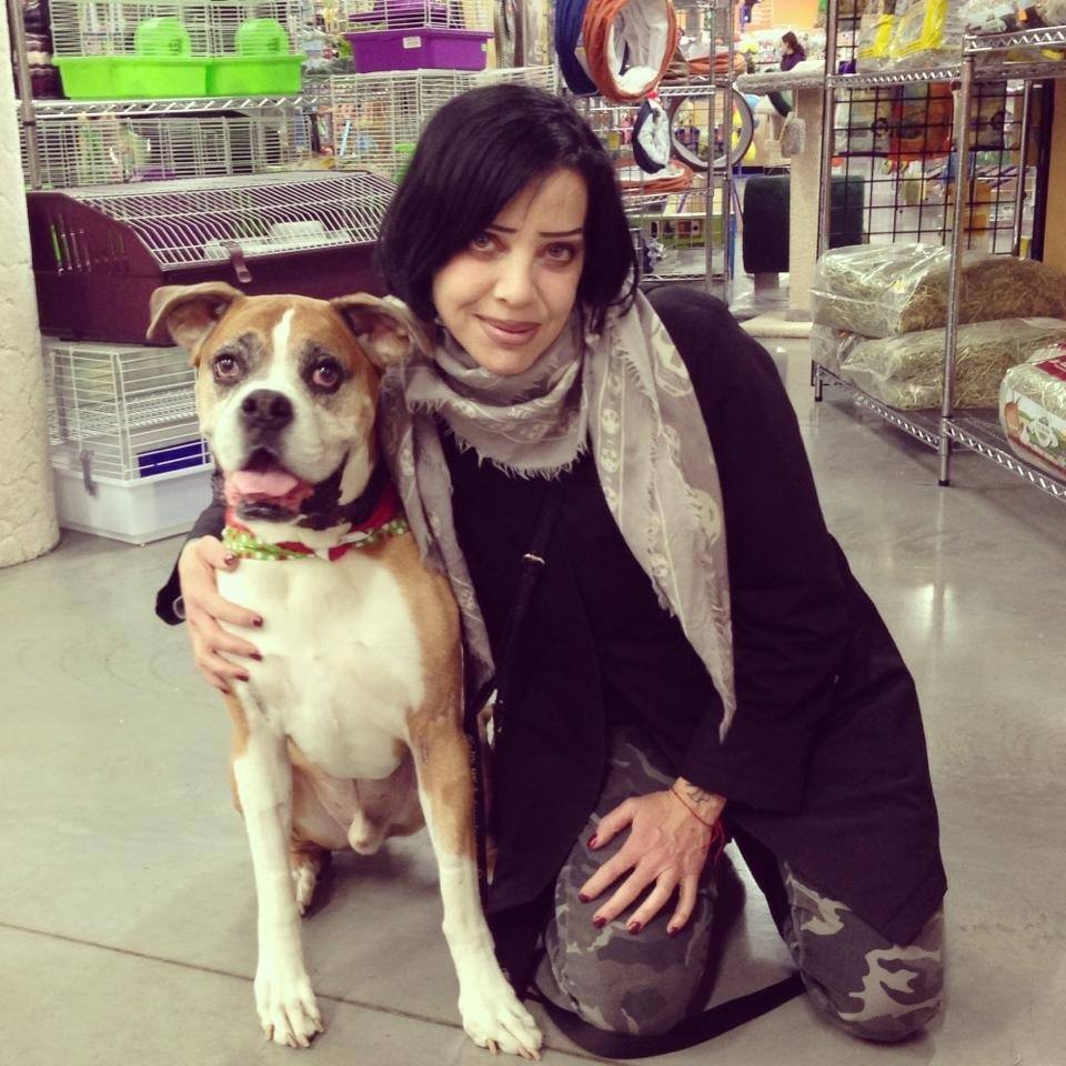 Rina Cooke's dog Romeo, who has terminal cancer, got to meet Bif Naked as part of his bucket list. 