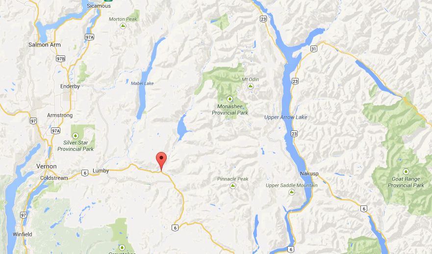 One man has been injured in an avalanche near Cherryville, B.C. 