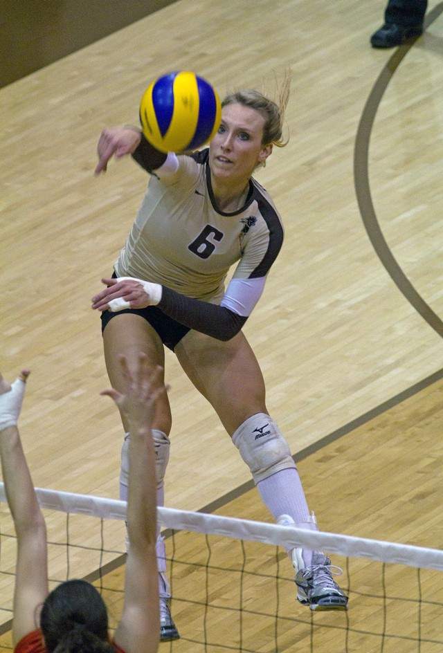Why I love volleyball - image
