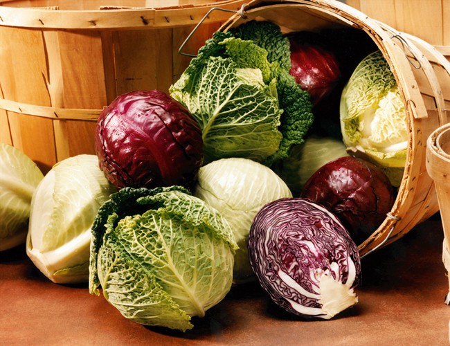 Green, red and Savoy cabbages are the most common varieties grown in Canada. They are interchangeable in most recipes, but the Savoy's crinkled leaves have a milder taste and softer texture.