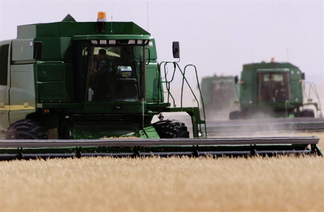 Combine harvesters work a wheat field south of Lethbridge, Alta., on Aug. 13, 2001.