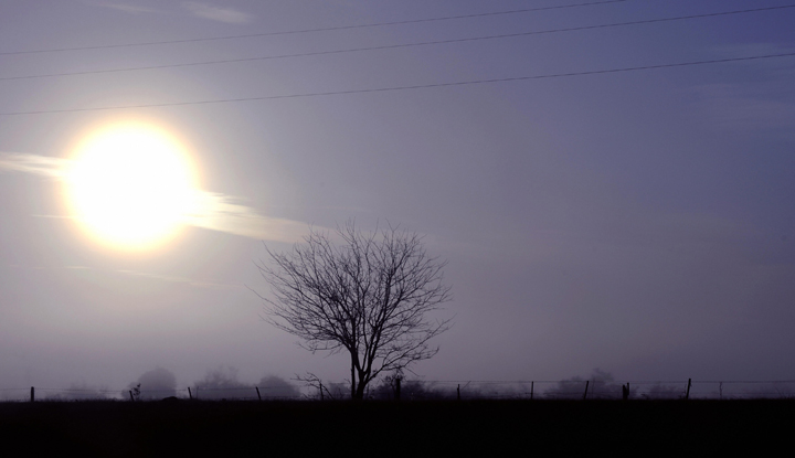 Fog creates poor visibility in southern Manitoba - Winnipeg | Globalnews.ca