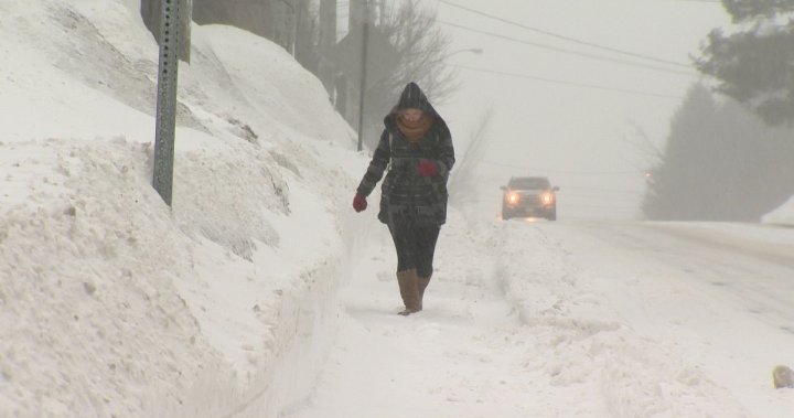 Прогноза за 40 сантиметра сняг ще удари североизточния Ню Брънзуик: Околна среда Канада