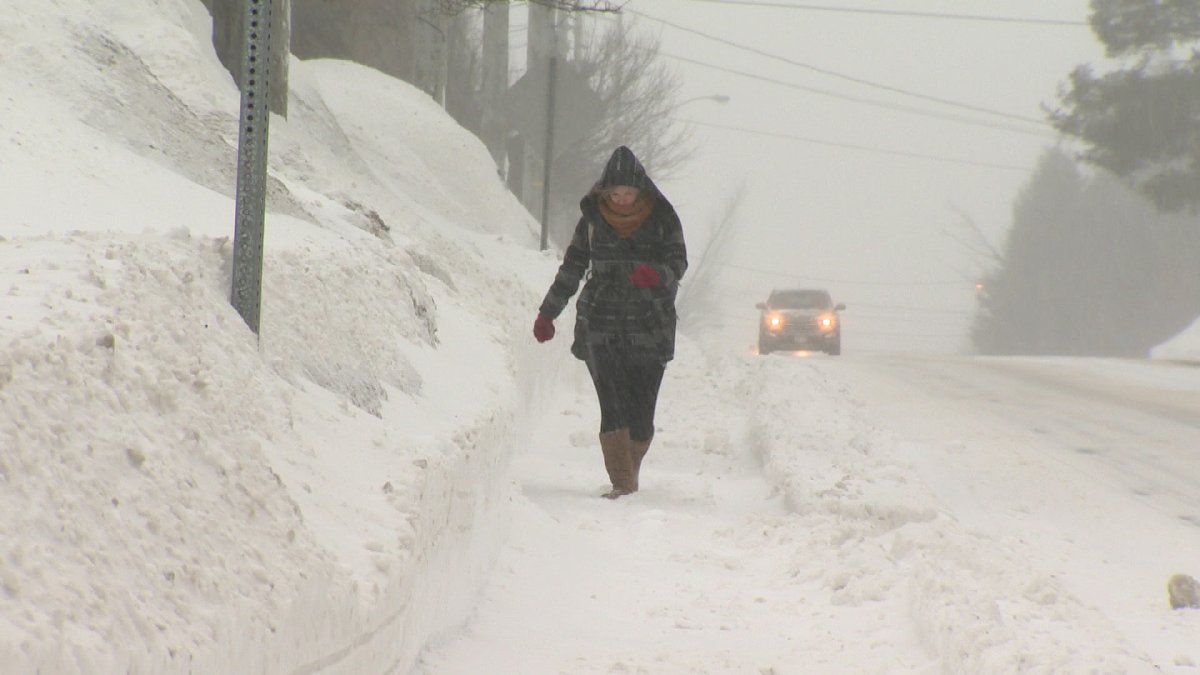 Winter storm and snowfall warnings still in effect for much of N.B. - image