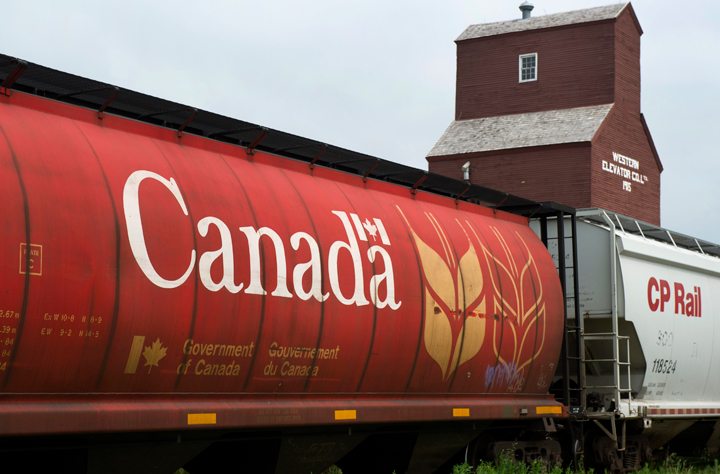 Government of Canada grain car on a CP Rail line at Gravelbourg, Saskatchewan. 