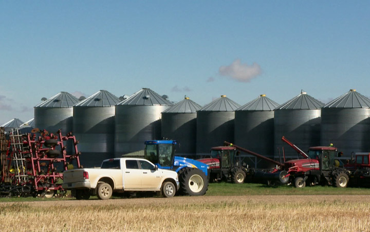 Banks urged by Saskatchewan government to be flexible with farmers facing cash crunch due to grain backlog.