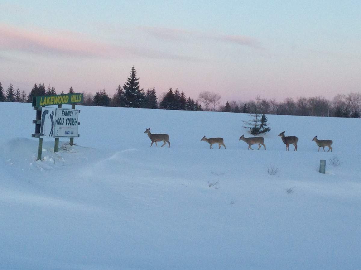 Your Manitoba