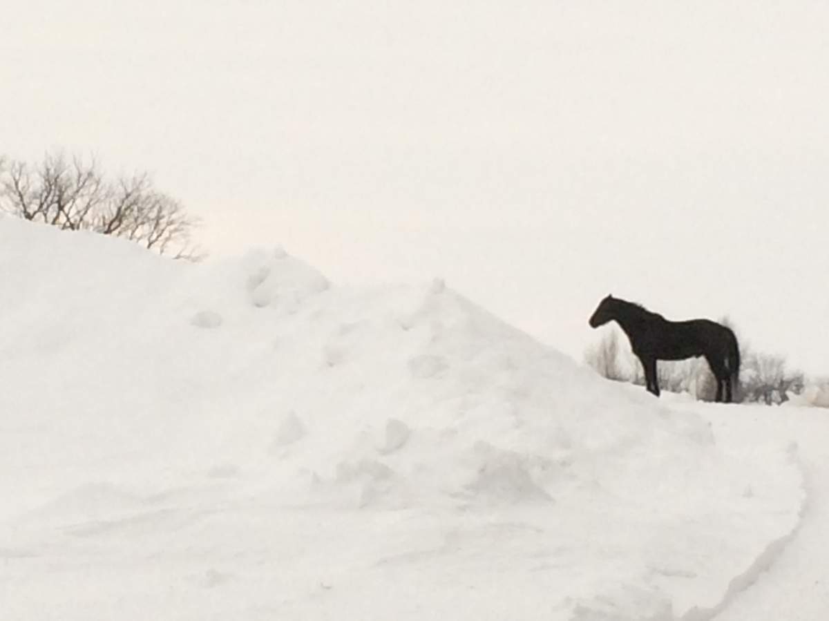 Your Manitoba