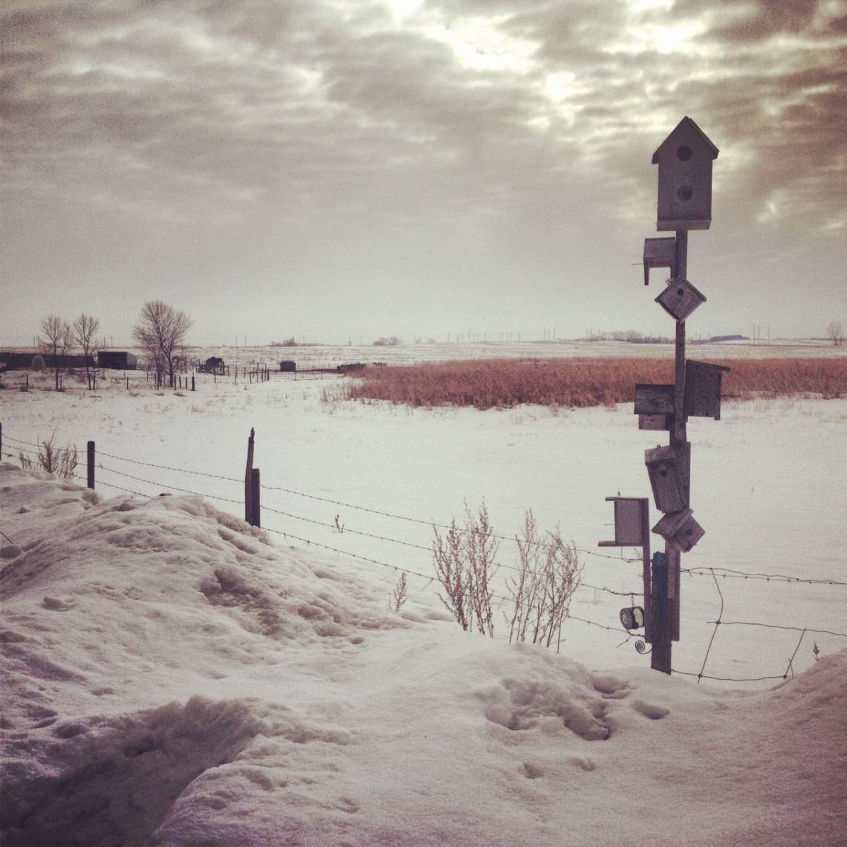 Your Manitoba