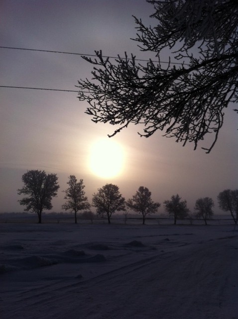 Your Manitoba