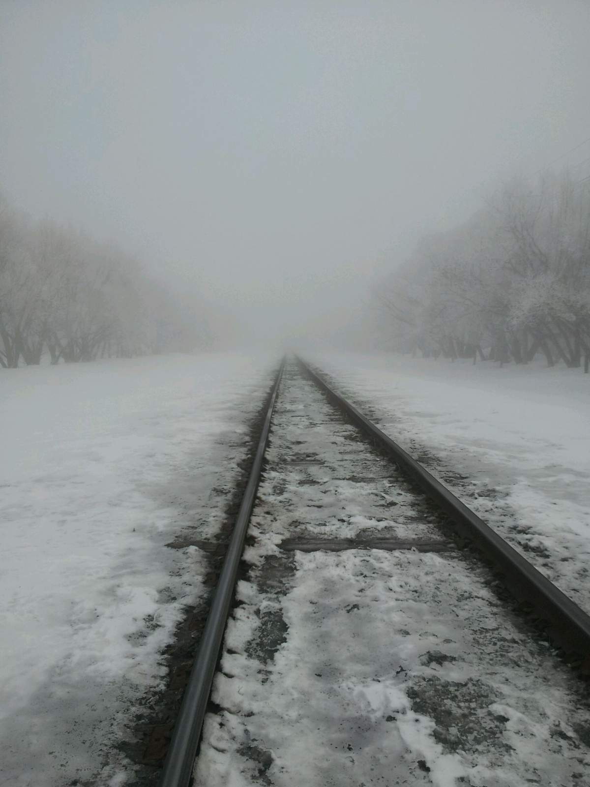 Your Manitoba