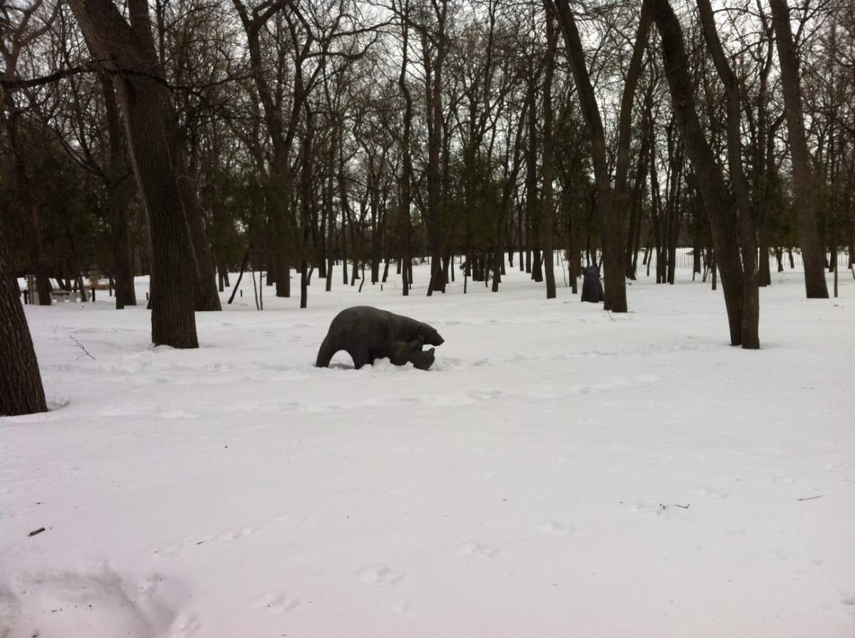 Your Manitoba