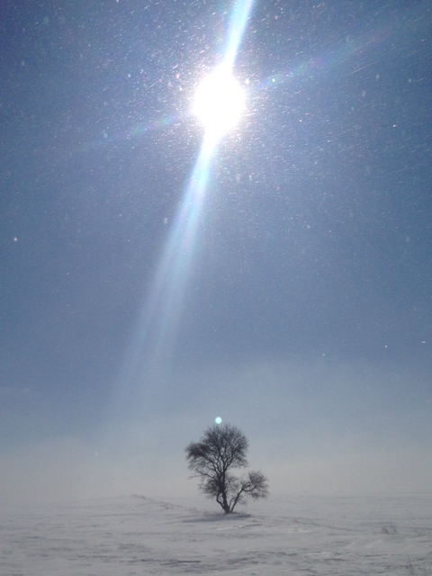 Your Manitoba