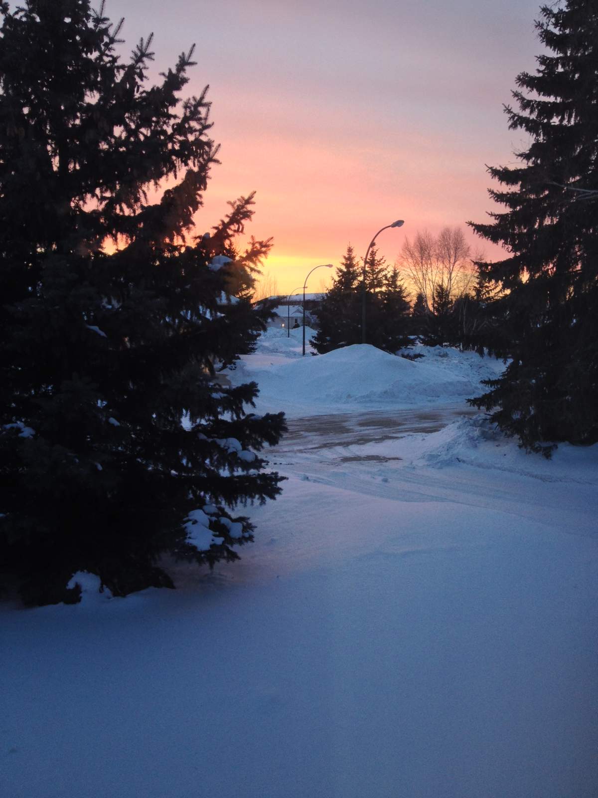 Your Manitoba