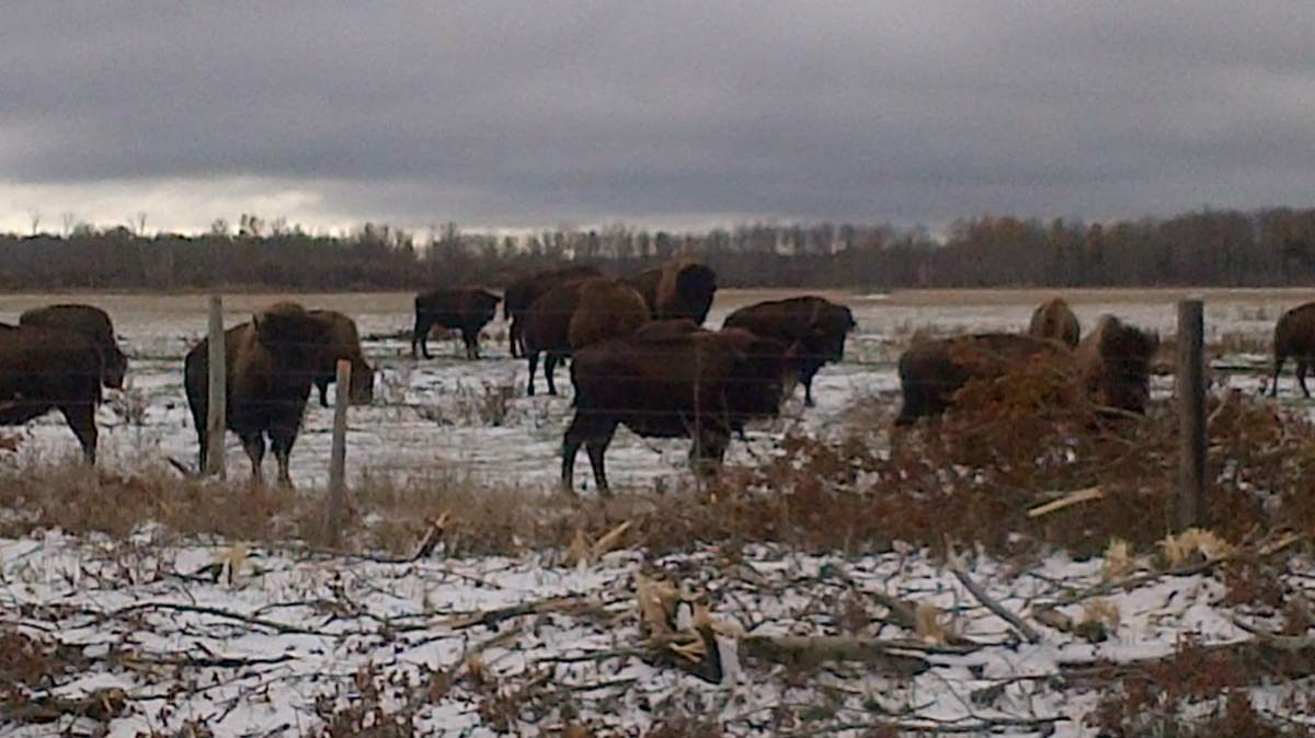 Your Manitoba