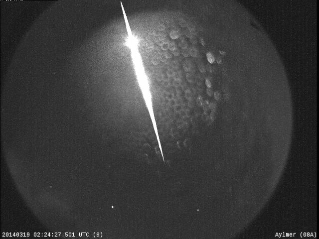 Western University tweeted this photo of the alleged meteorite.