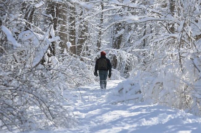 FILE: A man walks through a snow-covered park.