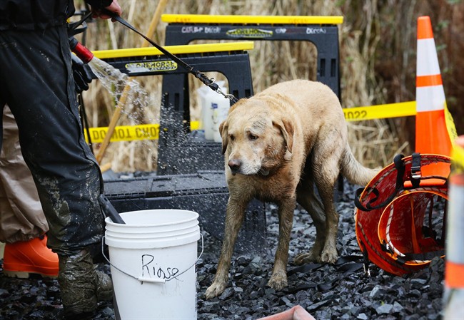 More mudslide victims found as state seeks new aid - image