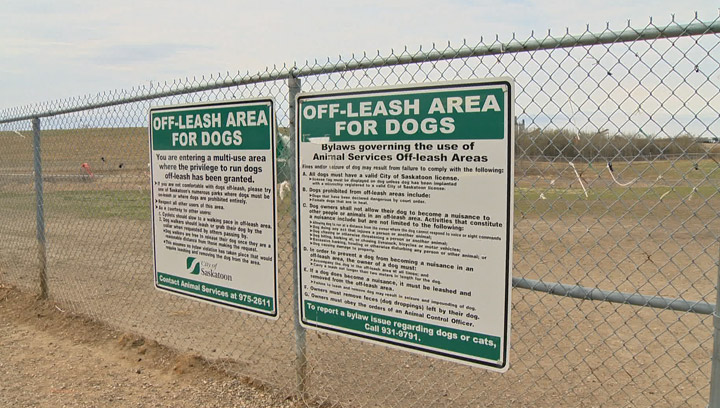 Saskatoon SPCA warns dog owners about river dangers after pup disappears in the South Saskatchewan River near an off-leash park in Saskatoon.