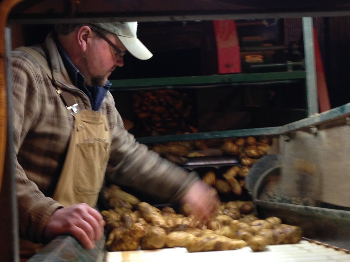 Farmers are worried about the future of the Bon Accord Elite Seed Potato Centre.