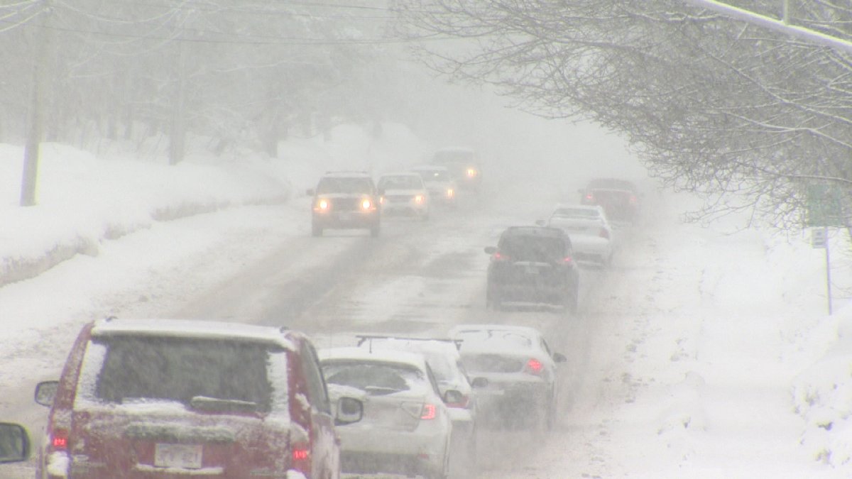 Gallery: New Brunswickers Welcome Spring With 20 Cm Of Snow - New 