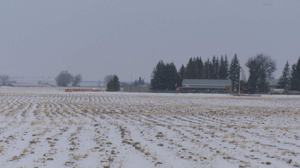 Soil moisture – enough to seed into? - image