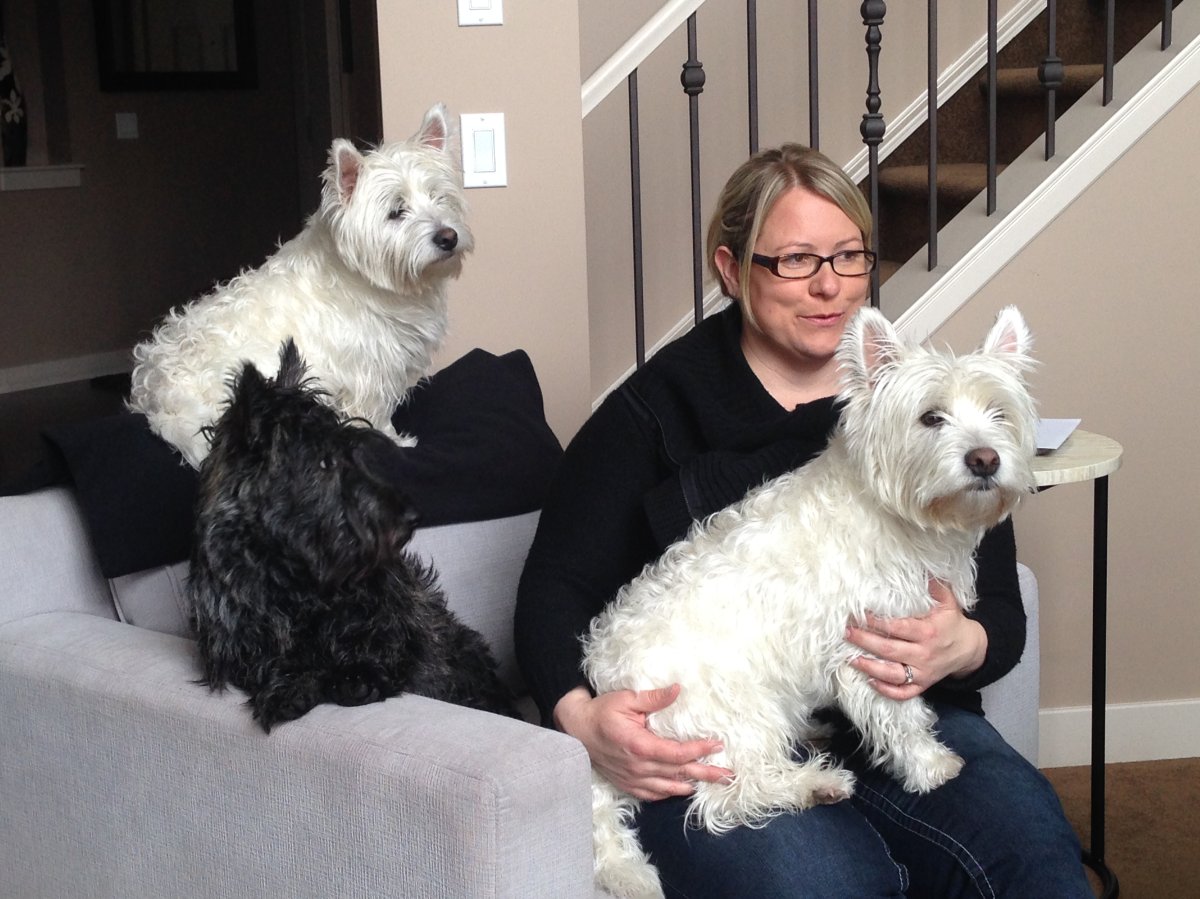 Jennifer Simmonds credits Good Samaritan and police with saving her and dogs from icy water.