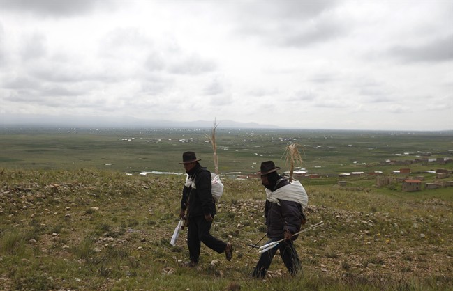 Aymara Indians walk to the top of a hill to demonstrate how they blow their horns to warn residents of storms in Cutusuma, Bolivia. For centuries, farmers in the fragile ecosystems of the high Andes have looked to the behavior of plants and animals to figure out what crops to grow and when.