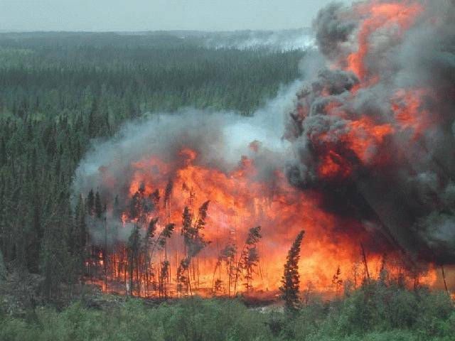 A photo of a wildfire in Alberta provided by the Government of Alberta, April 1, 2014.
