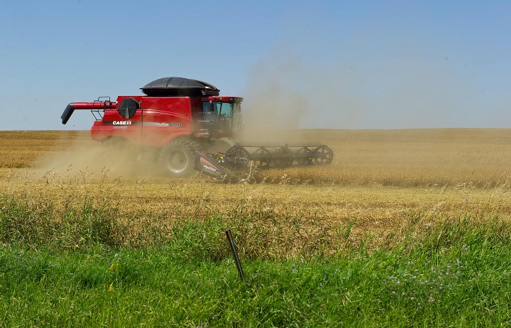 Farm Credit Canada says Saskatchewan saw the highest average increase in farmland value in Canada last year.