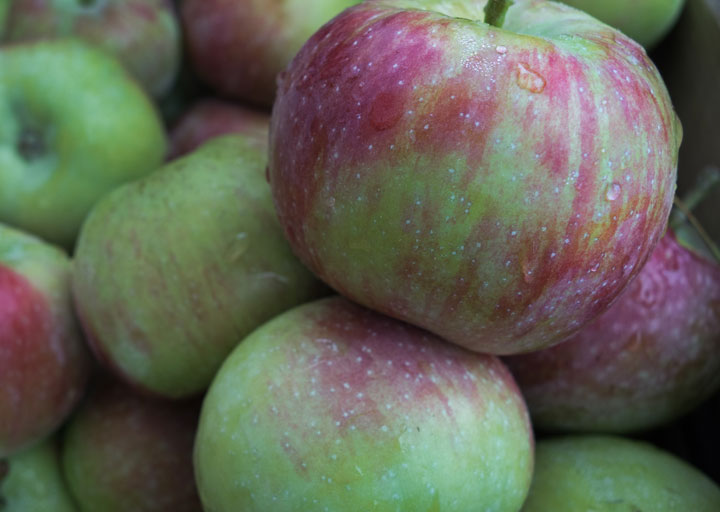 A recall of apple products is being expanded to P.E.I. due to concerns over possible listeria contamination.