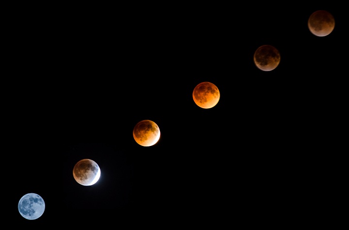 Phases of the blood moon photographed by Michael Cerilo in Winnipeg on April 15, 2014.