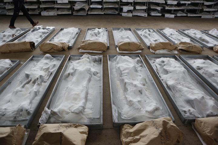 Bosnian technical worker Zlatan Music walks near bodies, conserved with salt, exhumed from the Tomasica mass grave at the Sejkovaca identification center, near the Bosnian town of Sanski Most, 260 kilometres (162 miles) northwest of Sarajevo,  Wednesday, April 16, 2014. 