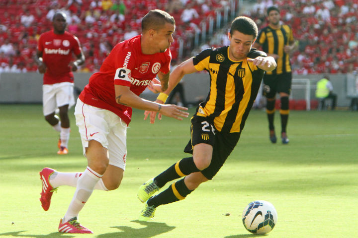 The Beira Rio Stadium, in Porto Alegre, will host five matches of the upcoming FIFA World Cup Brazil 2014. The are concerns that the chikungunya virus could be introduced to Brazil,  by the throngs of soccer fans from travelling from around the globe this coming June. 