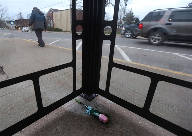 A rose in memory of Harley Lawrence is pictured inside a bus shelter in Berwick, N.S. on April 25, 2014.