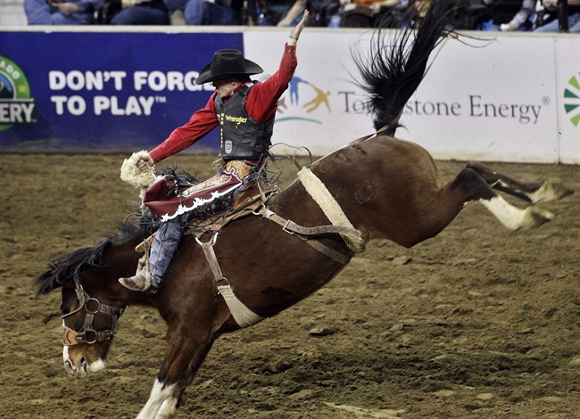 What rodeo and rangeland rookies can expect at the Calgary Stampede - image