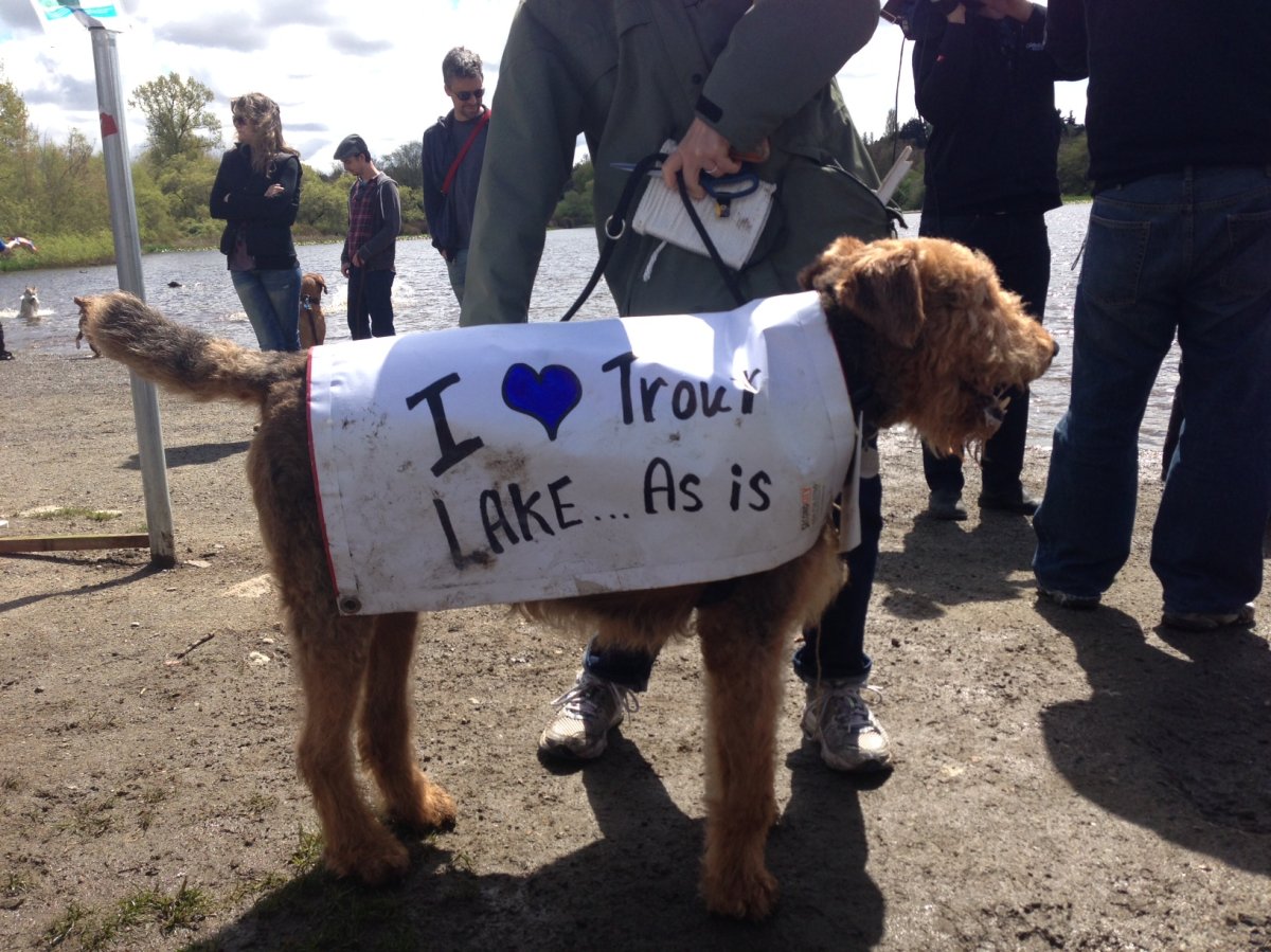 Vancouver Park Board stops plan to reduce Trout Lake off-leash dog park - image