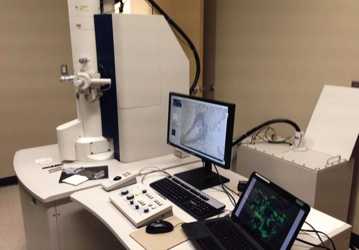 A new digital transmission electron microscope (TEM) at St. Paul’s Hospital in Saskatoon