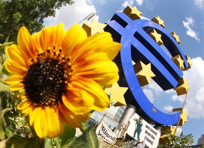 A sunflower sitting in front of the Euro sculpture in Frankfurt, Germany. A closely-watched survey has found business activity across the 18-country eurozone running at a three-year high.