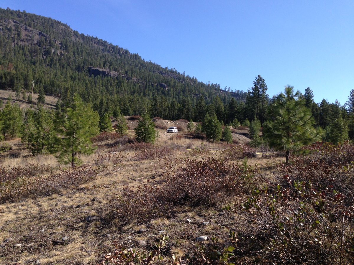 UPDATE: Remains found near Peachland from bear not human - image