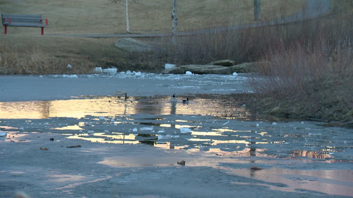 Two young boys were rescued after falling through the ice in Valley View Park.
