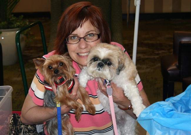 World's smallest dogs can be a big handful