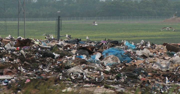 Manitoba drops $8.7M into trash, recycling in effort to cut greenhouse gas emissions