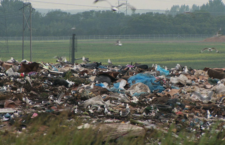 Saskatchewan NDP says leaky Saskatoon landfill a concern, but minister says nearby water quality is OK.