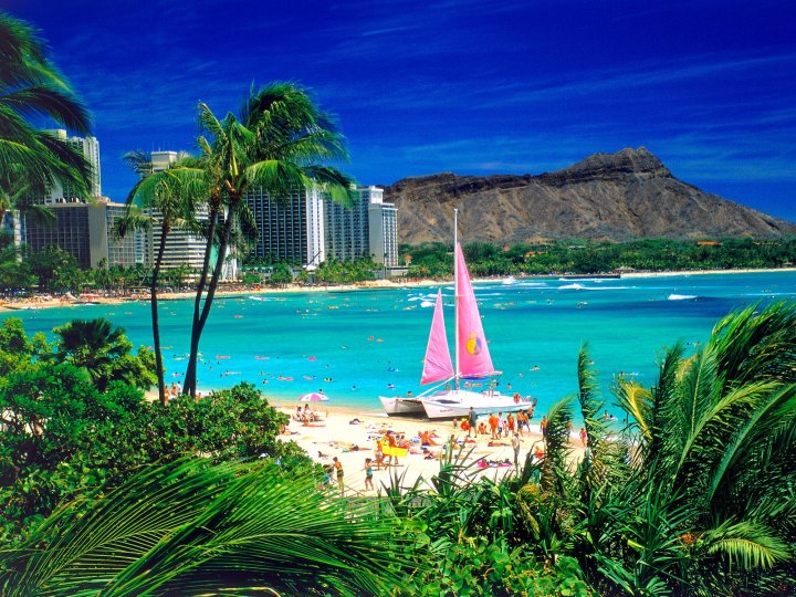 5-fun-family-activities-in-oahu-national-globalnews-ca