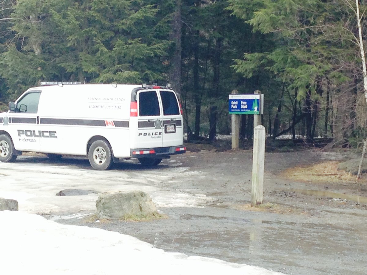 Fredericton police found human remains in Odell Park on April 28, 2014.