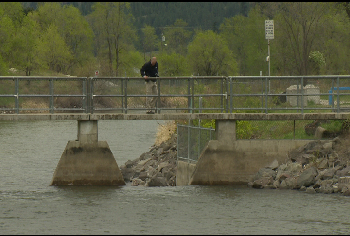 Details of body recovery from Okanagan River - image