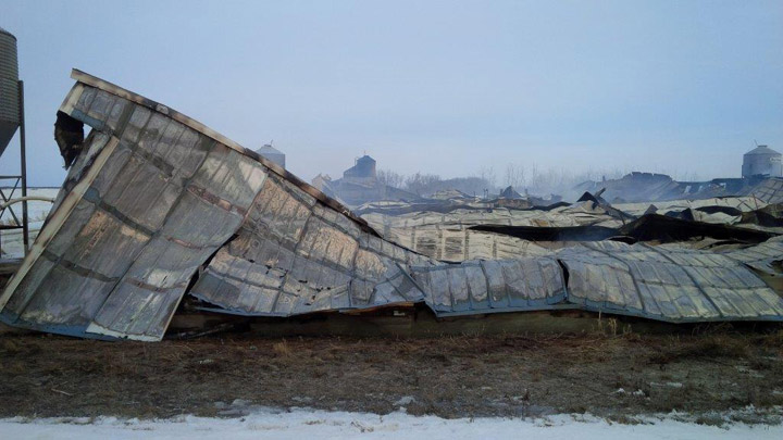 Around 3,500 young hogs died in a fire at an OlySky pig barn near Burr, Saskatchewan on Monday.